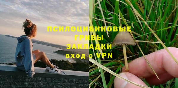 эйфоретик Алзамай