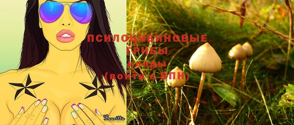 скорость Алексеевка