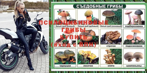 эйфоретик Алзамай
